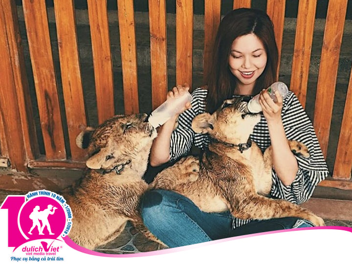 Du lịch Thái Lan 5 ngày 4 đêm Bangkok - Pattaya mùa Thu từ Sài Gòn